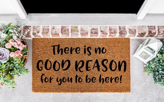 Doormat funny, funny door mat, there is no reason for you to be here mat, funny new house gift,funny housewarming gift,front door sign funny