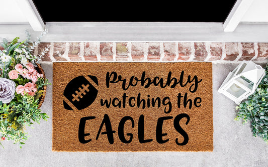 Eagles gifs, Philadelphia, philly girl, philly fans, football gifts philadelphia, delaware, foot gifts, for men,for him,Christmas present